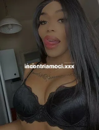 6 - Annomis Trans Genova - 3470618059