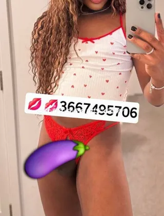 9 - Diana Trans Roma - 3667495706
