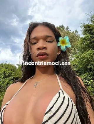 7 - Catalina Trans Pavia - 3522231711