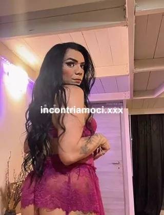 13 - Yssa Corso Regina Trans Torino - 3513580870