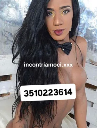 36 - Paloma Trans Brescia - 3510223614