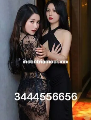 31 - Seka Escort Pisa - 3444556656