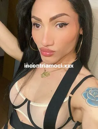 13 - Trans Brasiliana Trans Como - 3894273548