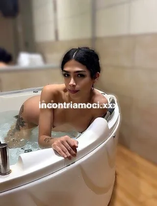 1 - Cami Trans Como - 3520273701