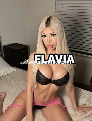 6 - Flavia Trans Lecco - 3508249087