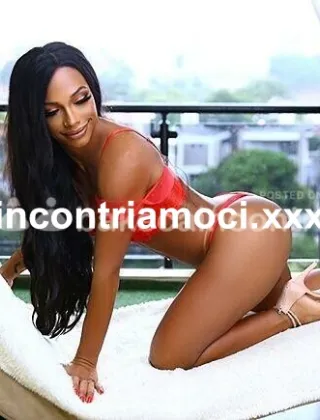 14 - Sabrina Trans Firenze - 3514807517