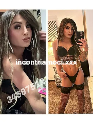 23 - Sofy Trans Lucca - 3458751273