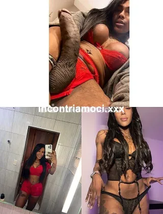 16 - Lesly Trans Bari - 3511928976
