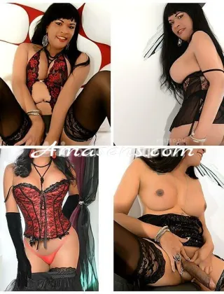 2 - Carla Trans Novara - 3484737314