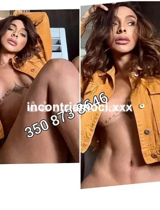 20 - Maila Trans Benevento - 3508738646