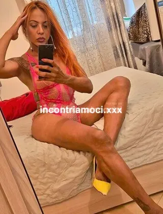 23 - Veroniks Trans Arezzo - 3520282463