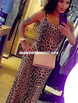 7 - Tiffany Trans Ferrara - 3935494115