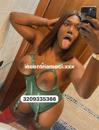 19 - Paloma Trans Caserta - 3209335366