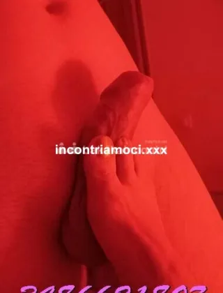 20 - Becca Escort Pavia - 3486621807