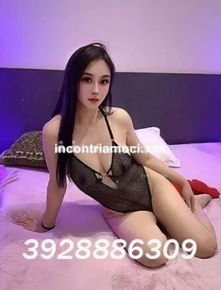 3928886309 - 🔥 Oggi Nuove E Bellissime Orientale