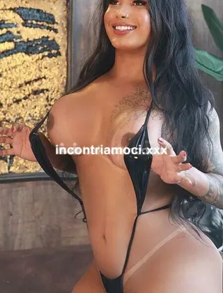 23 - Laila Trans Verona - 3509727216