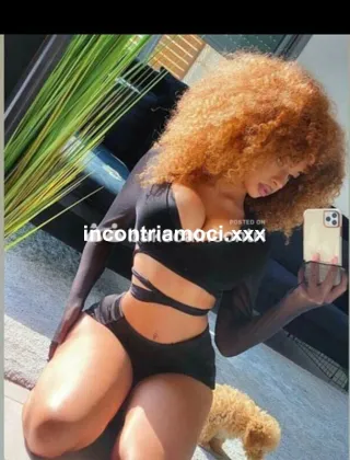 19 - Wandi Escort Matera - 3508588478