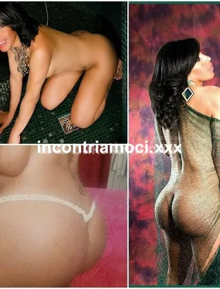 33 - Angela Trans Trento - 3318895866