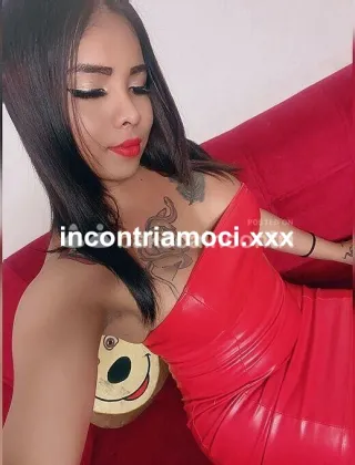 24 - Antonella Trans Bolzano - 3923877402