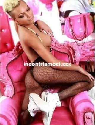 22 - Alessia Trans Piacenza - 3339004687