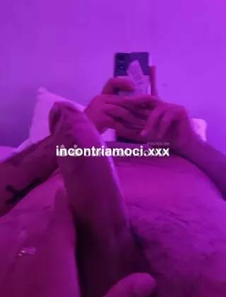 22 - Kattya Trans Rimini - 3920673972